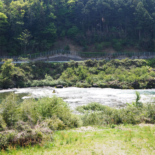 長良川の景観 写真