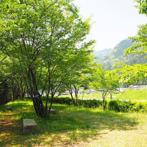 桜のポケットパーク 写真